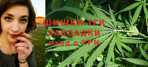 сатива Алексин