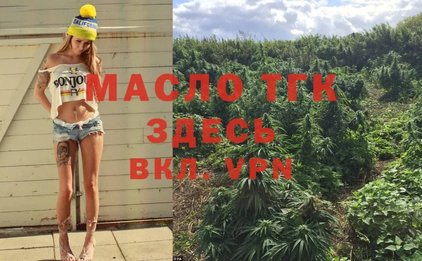 сатива Алексин