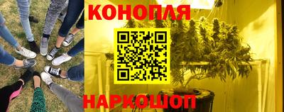 ALPHA-PVP Камышлов