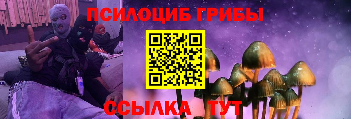Минусинск  Галлюциногенные грибы GOLDEN TEACHER  Вход с VPN 
